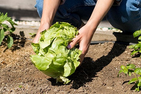 Utilize para ver mais