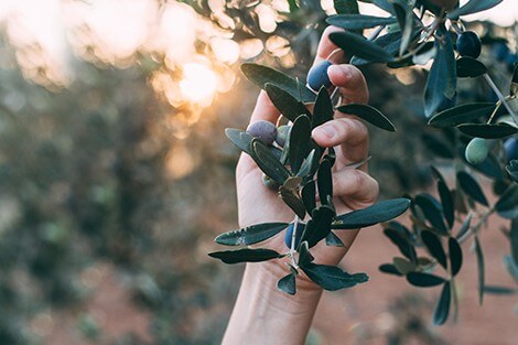 Utilize para ver mais