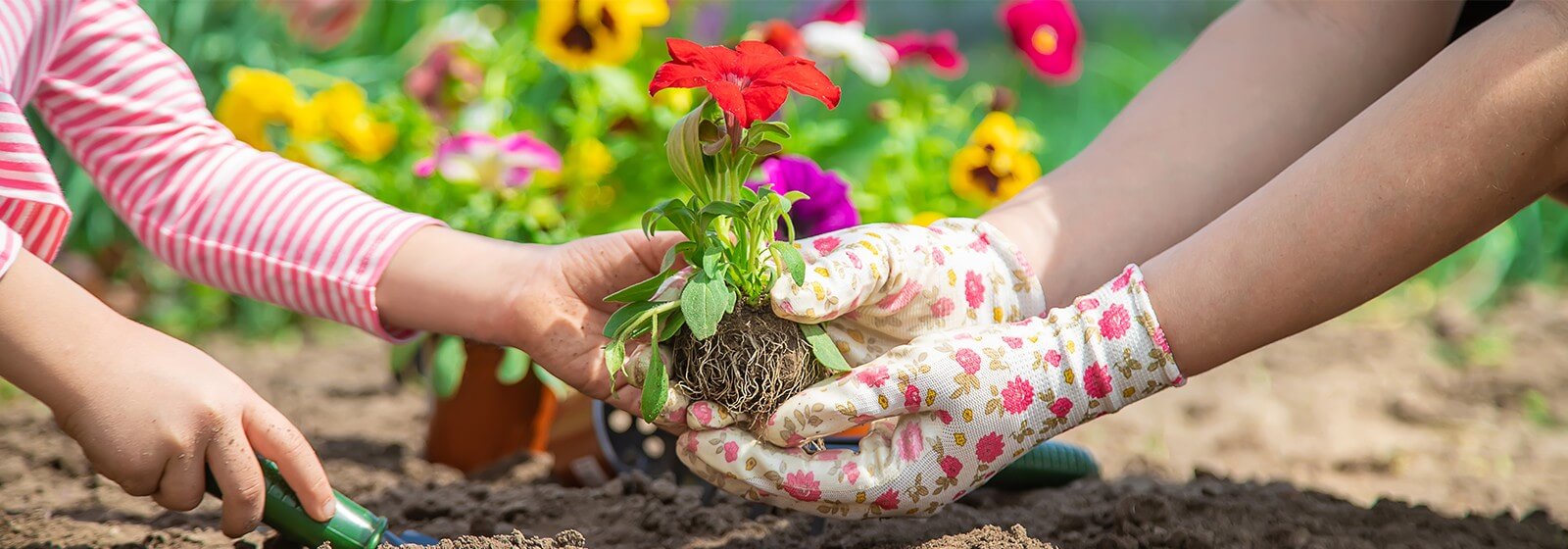 Utilize para ver mais