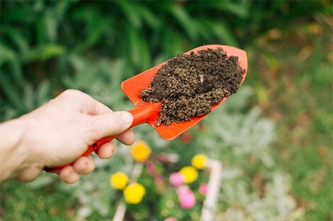 Utilize para ver mais