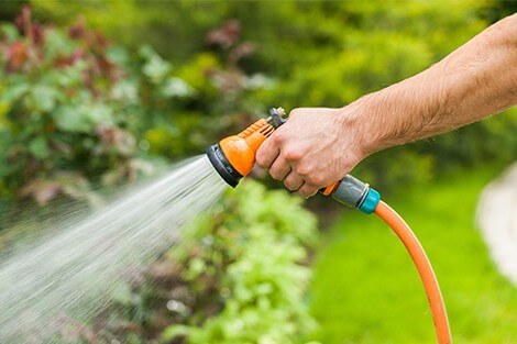 Utilize para ver mais