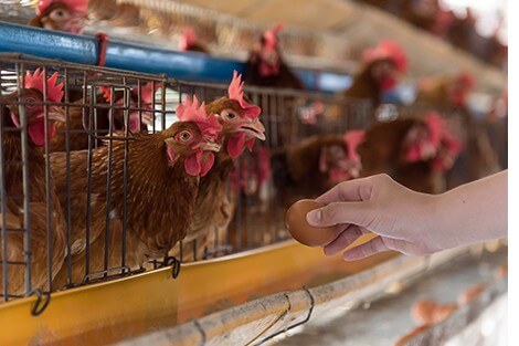 Utilize para ver mais