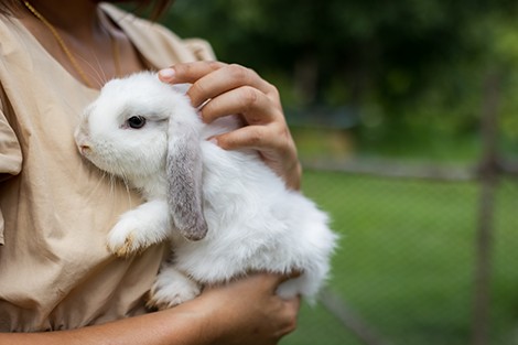 Utilize para ver mais