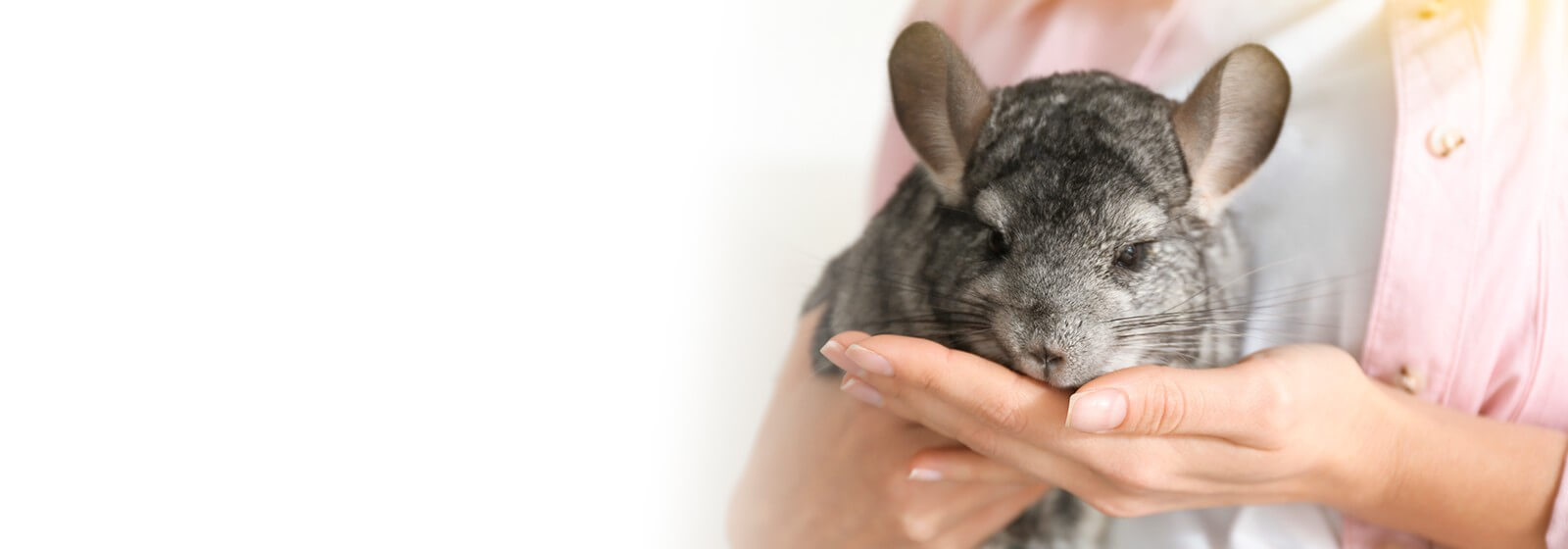 Utilize para ver mais