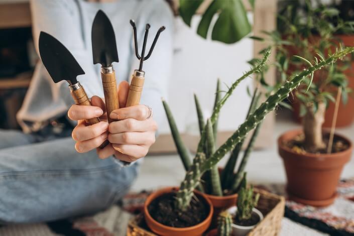 Utilize para ver mais