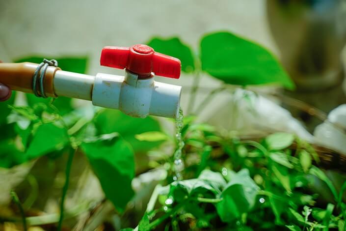 Utilize para ver mais