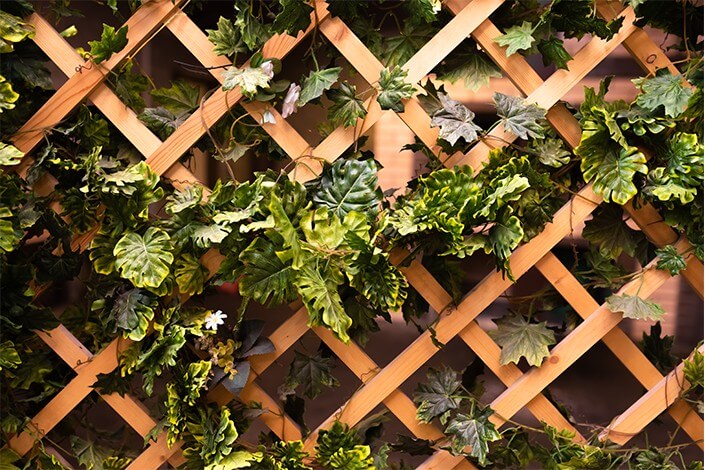 Utilize para ver mais