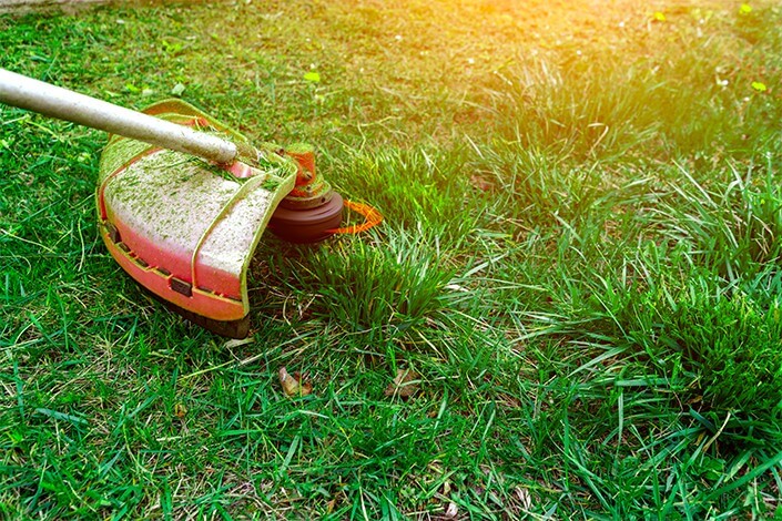 Utilize para ver mais