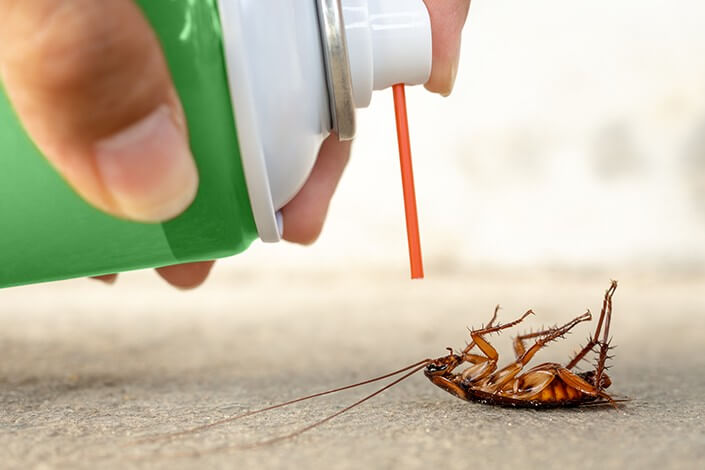 Utilize para ver mais