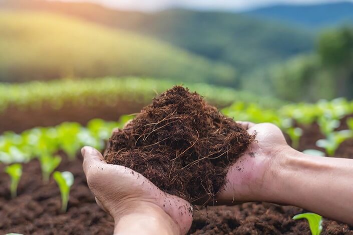 Utilize para ver mais