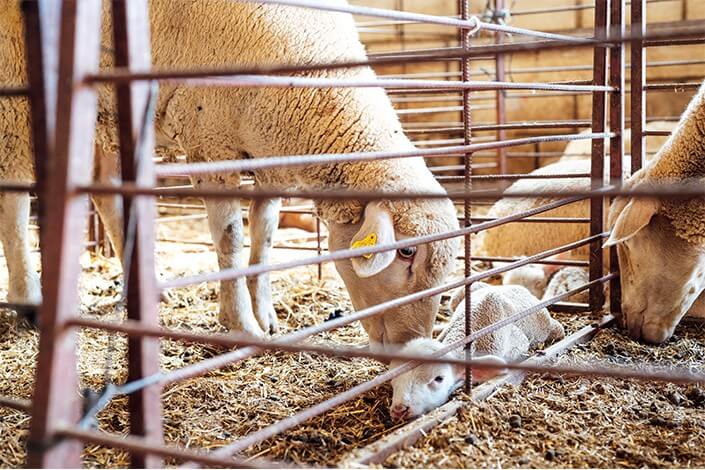 Utilize para ver mais