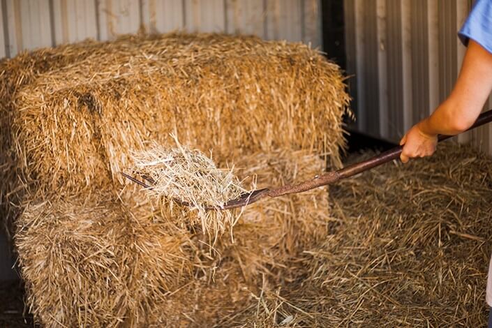 Utilize para ver mais