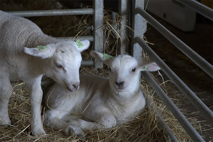 Utilize para ver mais