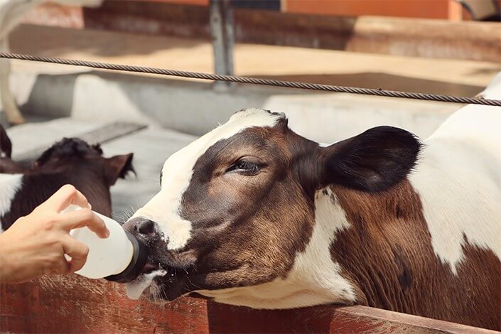 Utilize para ver mais