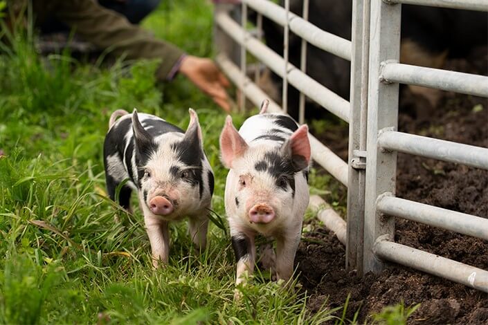 Utilize para ver mais