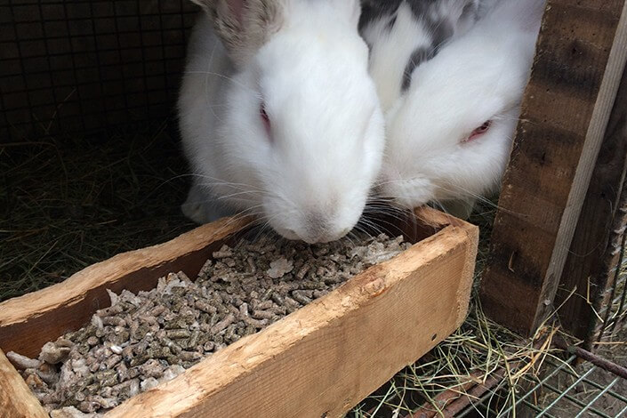 Utilize para ver mais