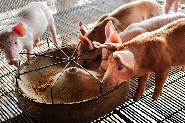 Utilize para ver mais