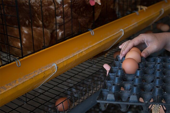 Utilize para ver mais