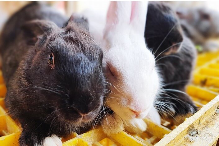 Utilize para ver mais