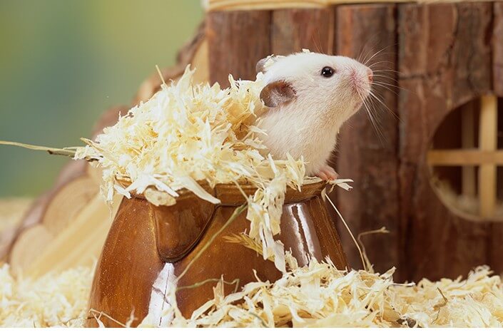 Utilize para ver mais