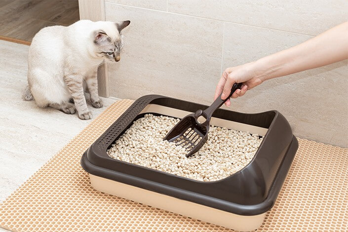 Utilize para ver mais