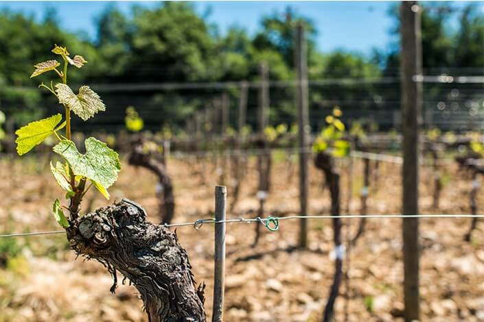 Utilize para ver mais