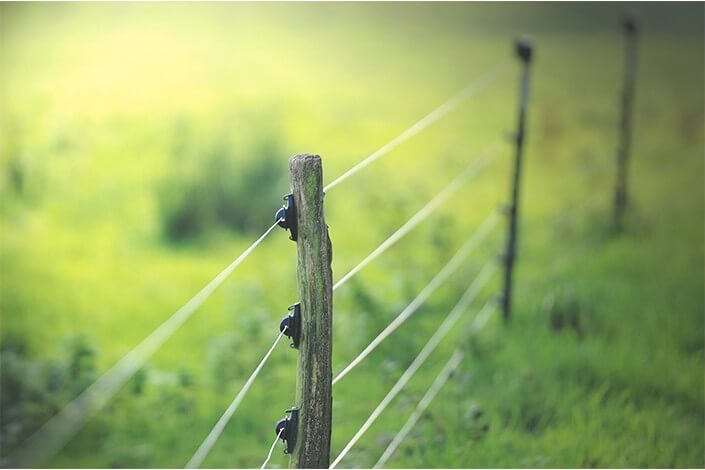 Utilize para ver mais