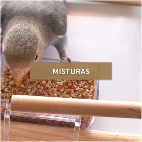 Misturas Pssaros