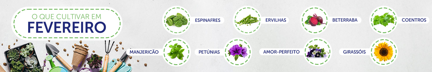 Utilize para  ver mais