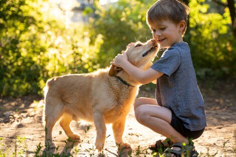 Utilize para  ver mais