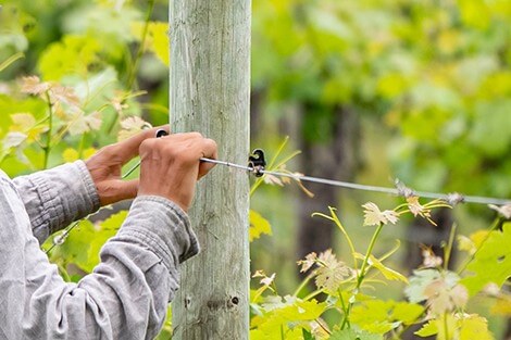 Utilize para ver mais