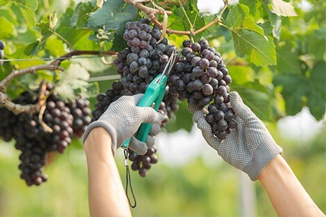 Utilize para ver mais