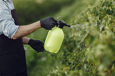 Utilize para ver mais