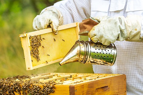 Utilize para ver mais