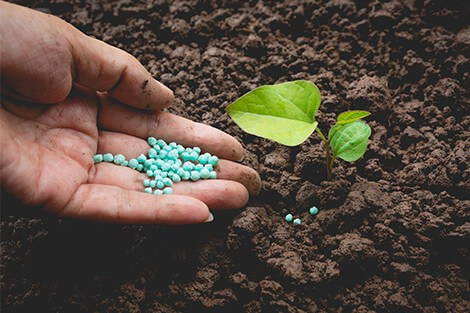 Utilize para ver mais