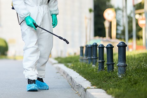 Utilize para ver mais