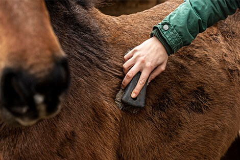 Utilize para ver mais