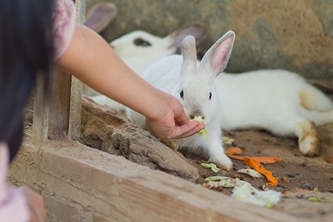 Utilize para ver mais