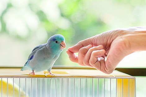 Utilize para ver mais