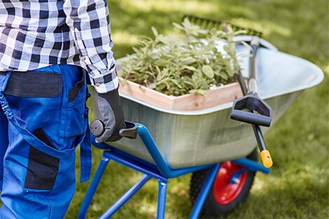 Utilize para ver mais