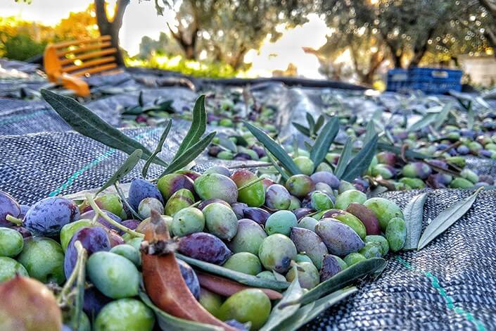 Utilize para ver mais