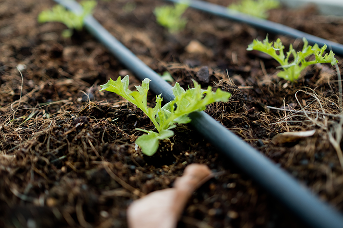 Utilize para ver mais