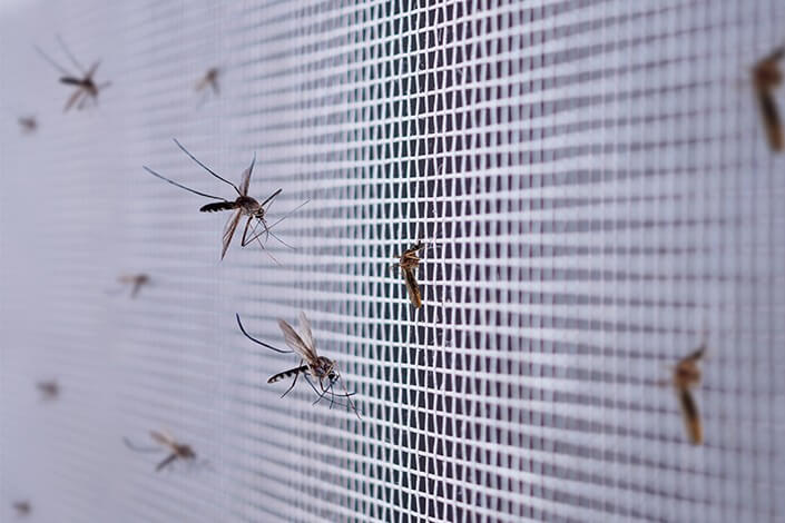 Utilize para ver mais