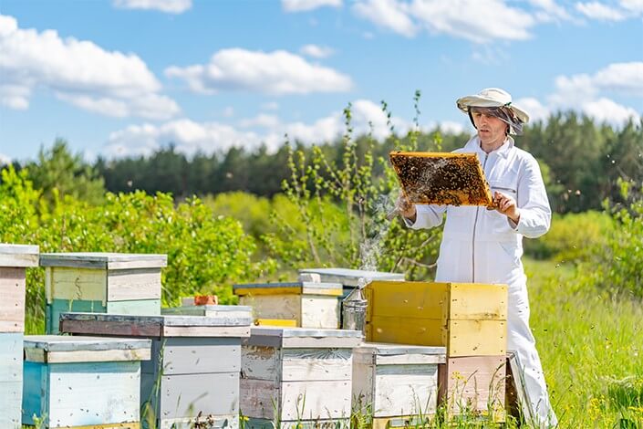 Utilize para ver mais