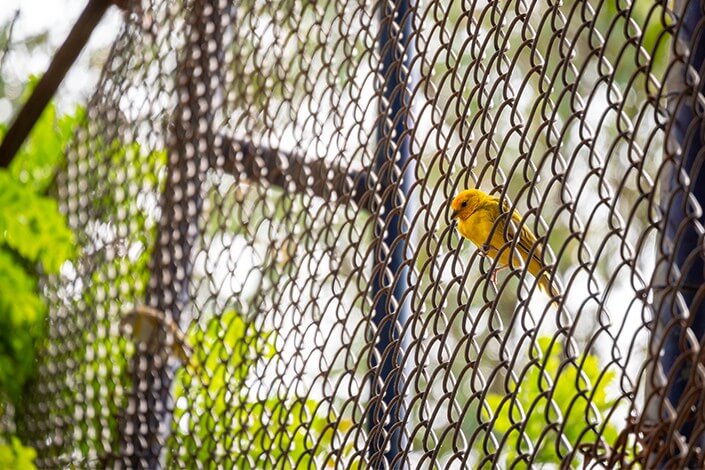 Utilize para ver mais