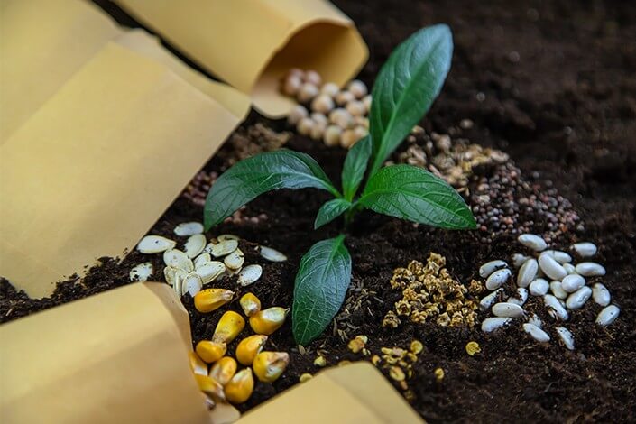 Utilize para ver mais