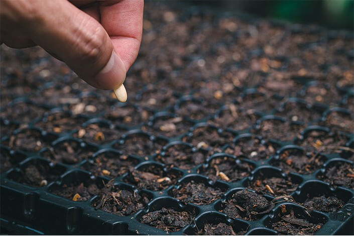 Utilize para ver mais