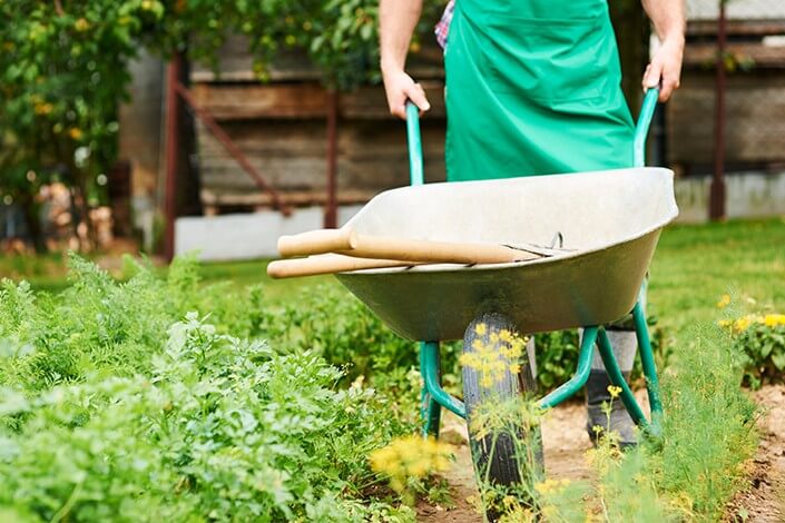 Utilize para ver mais