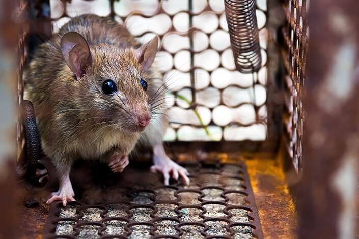 Utilize para ver mais