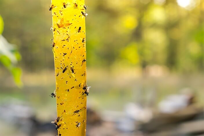 Utilize para ver mais